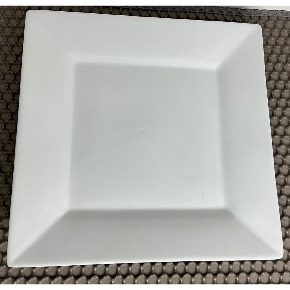 Tag White Square Appetizer Plate 11" Modern Minimalist Serving Dish/Platter‎